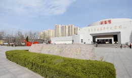 国产精品 入口9色,探索色彩斑斓的美食世界