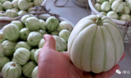 吃瓜爆料四大瓜是指什么,娱乐圈幕后真相大曝光